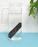 Filtre à eau charbon