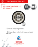 Moulin à Sel Peugeot Madras avec mécanisme de sel sec, design moderne pour un assaisonnement parfait.