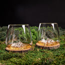 Verres TOPOGRAPHIC avec bouteille de spiritueux