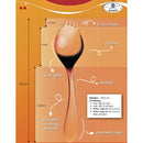 Coffret 2 ou 6 Georgettes Titanium noir droitier - Maison Habiague